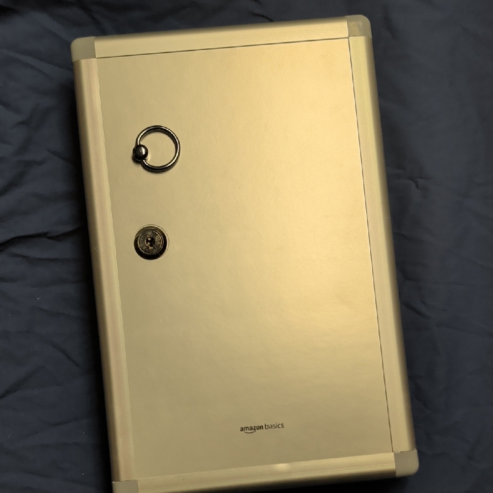 AmazonBasics Gold Wall-Mount Key & Security Box